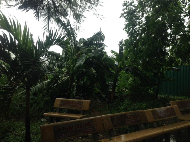 Hà Nội: Lực lượng cứu hộ bất chấp nguy hiểm, cắt sắt mở đường ảnh 31