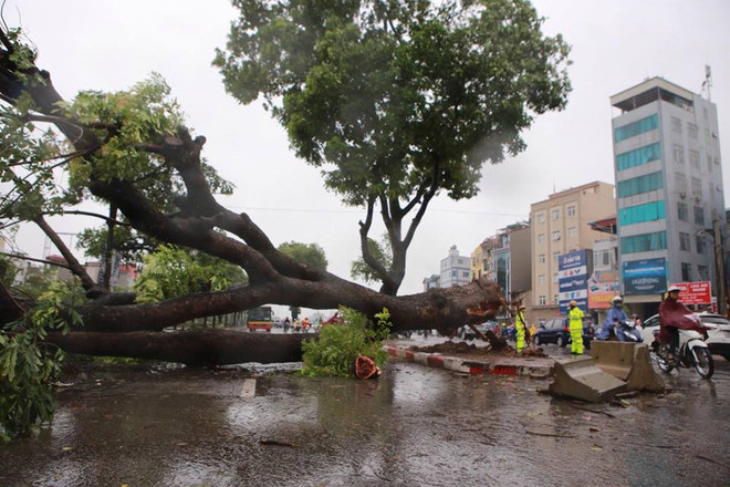 Hà Nội: Lực lượng cứu hộ bất chấp nguy hiểm, cắt sắt mở đường ảnh 52