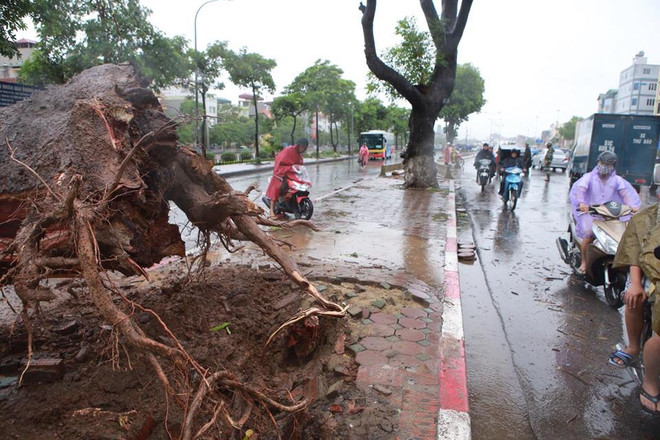Hà Nội: Lực lượng cứu hộ bất chấp nguy hiểm, cắt sắt mở đường ảnh 37