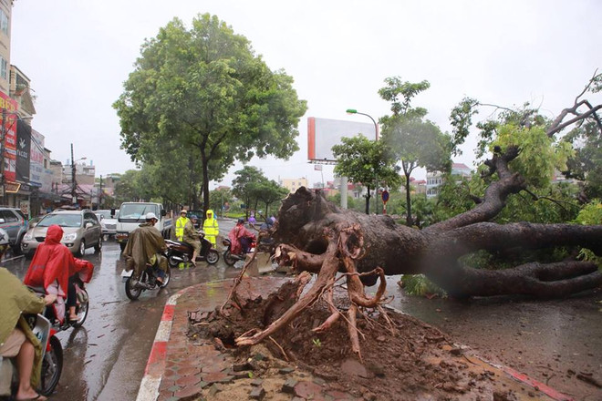 Hà Nội: Lực lượng cứu hộ bất chấp nguy hiểm, cắt sắt mở đường ảnh 48