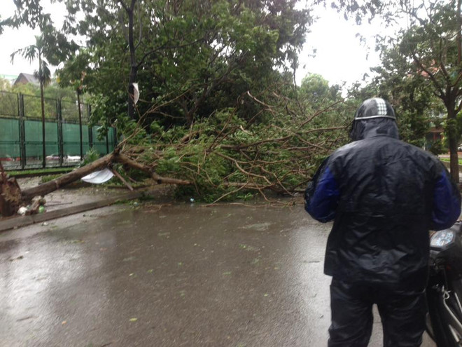 Hà Nội: Lực lượng cứu hộ bất chấp nguy hiểm, cắt sắt mở đường ảnh 35