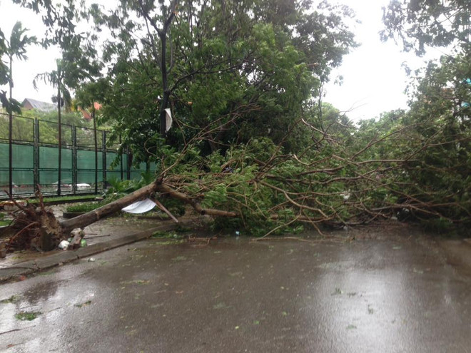 Hà Nội: Lực lượng cứu hộ bất chấp nguy hiểm, cắt sắt mở đường ảnh 33