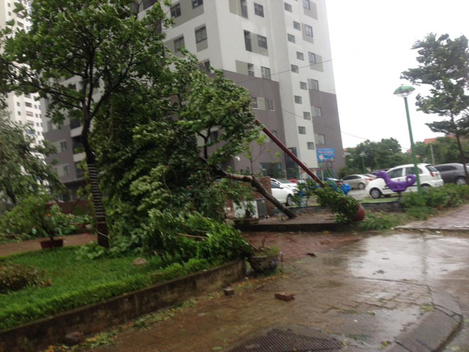 Hà Nội: Lực lượng cứu hộ bất chấp nguy hiểm, cắt sắt mở đường ảnh 34