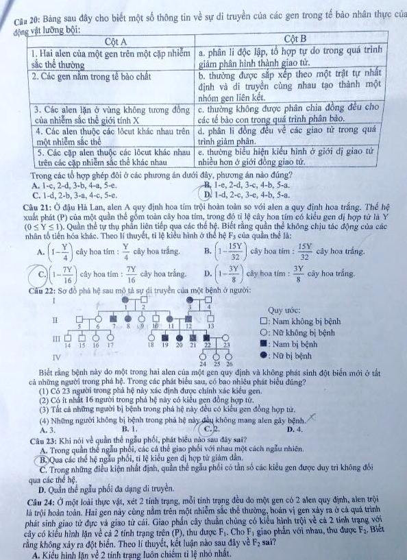 Đề thi PTTH môn Sinh học dài 8 trang, nhưng không quá khó ảnh 3