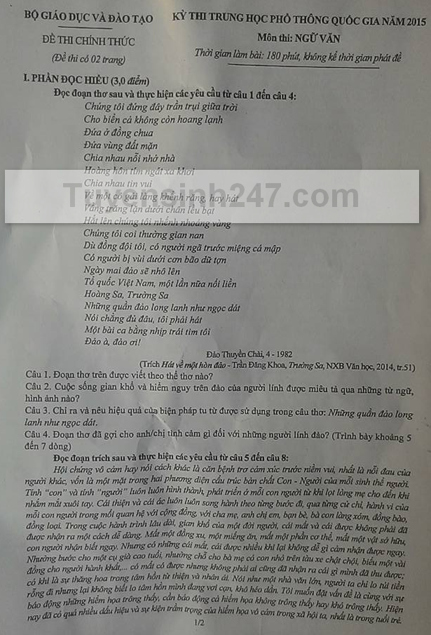 Đề thi môn Ngữ văn kỳ thi trung học phổ thông quốc gia ảnh 1