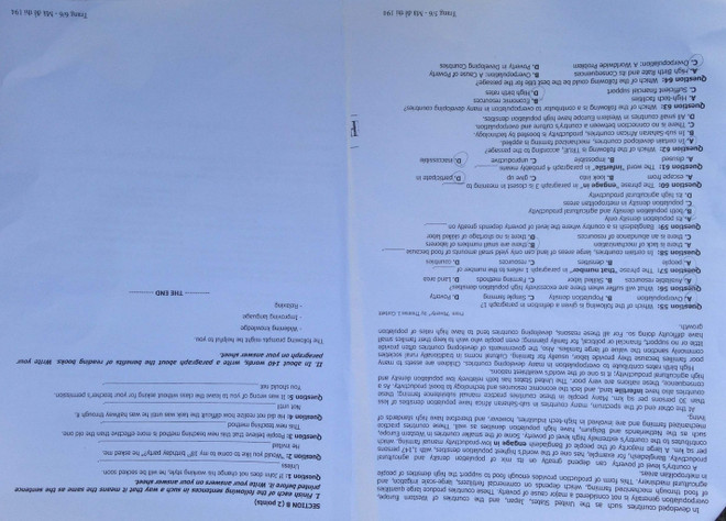 Đề thi chính thức môn Ngoại ngữ kỳ thi trung học phổ thông quốc gia ảnh 3