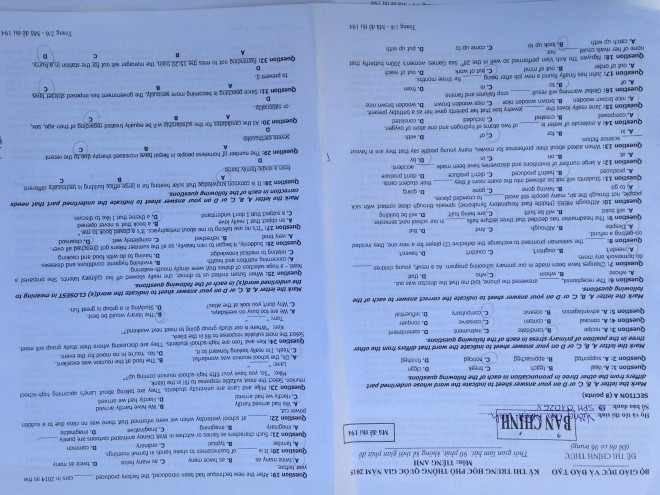 Đề thi chính thức môn Ngoại ngữ kỳ thi trung học phổ thông quốc gia ảnh 1