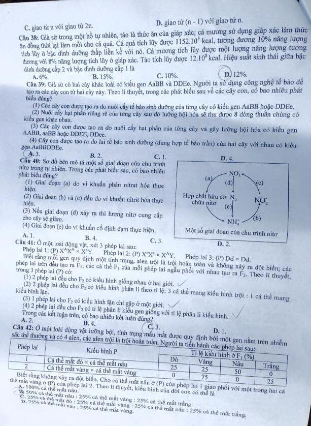 Đề thi PTTH môn Sinh học dài 8 trang, nhưng không quá khó ảnh 6