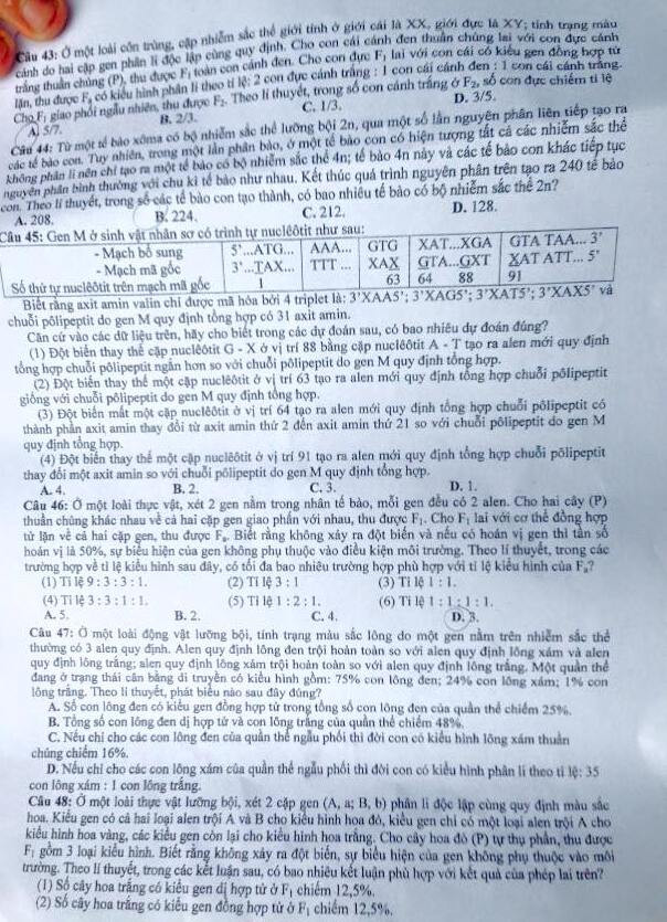 Đề thi PTTH môn Sinh học dài 8 trang, nhưng không quá khó ảnh 5