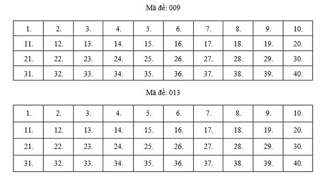Hà Nội: Gợi ý đáp án tất cả các mã đề môn Ngoại ngữ kỳ thi vào lớp 10 ảnh 9