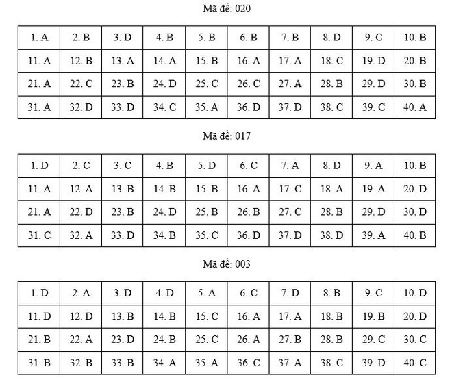 Hà Nội: Gợi ý đáp án tất cả các mã đề môn Ngoại ngữ kỳ thi vào lớp 10 ảnh 3