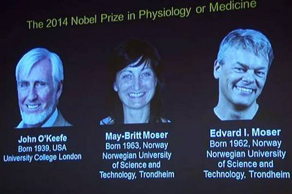 John O'Keefe, May-Britt Moser và Edvard I. Moser giành Nobel Y học ảnh 1