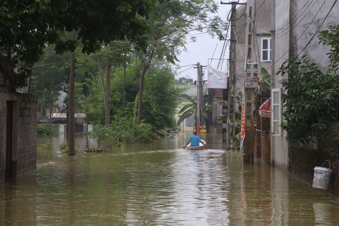 Hà Nội: Người dân vùng lụt Chương Mỹ chuẩn bị mọi tình huống xảy ra ảnh 10