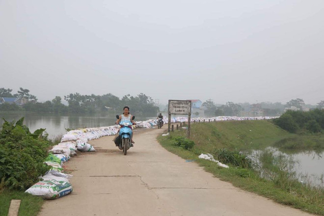 Hà Nội: Người dân vùng lụt Chương Mỹ chuẩn bị mọi tình huống xảy ra ảnh 6