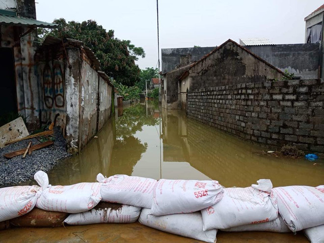 Hà Nội: Người dân vùng lụt Chương Mỹ chuẩn bị mọi tình huống xảy ra ảnh 4