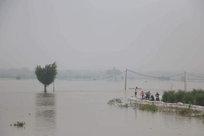 Hà Nội: Người dân vùng lụt Chương Mỹ chuẩn bị mọi tình huống xảy ra ảnh 5