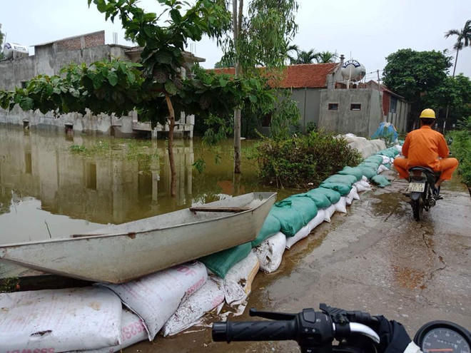 Hà Nội: Người dân vùng lụt Chương Mỹ chuẩn bị mọi tình huống xảy ra ảnh 3