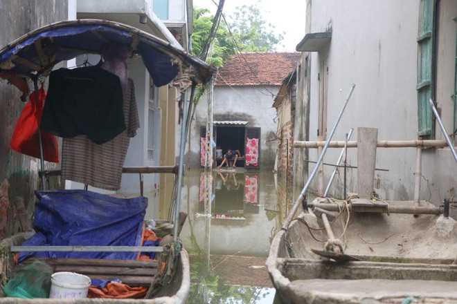 Hà Nội: Người dân vùng lụt Chương Mỹ chuẩn bị mọi tình huống xảy ra ảnh 9