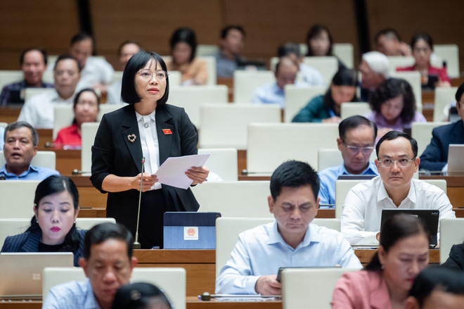 Đại biểu Nguyễn Thị Việt Nga phát biểu tại hội trường. (Ảnh: CTV/Vietnam+) nguyenvietnga.jpeg