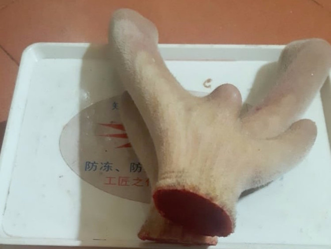 Chăn nuôi hươu sao: Hướng đi mang lại hiệu quả kinh tế cho nông dân ảnh 2