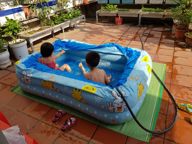 Người lớn trồng rau, trẻ có sân chơi trên sân thượng trong mùa COVID ảnh 4