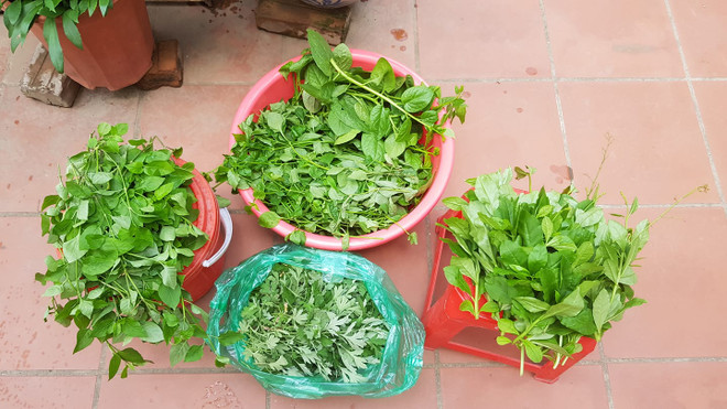 Người lớn trồng rau, trẻ có sân chơi trên sân thượng trong mùa COVID ảnh 5