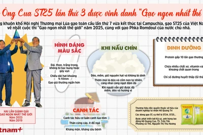 Sự hấp dẫn của gạo Ông Cua ST25 - “Gạo ngon nhất thế giới” năm 2025