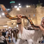 Nghi thức trung tâm trong Rosh Hashanah là việc thổi shofar-tù và làm từ sừng cừu đực, vào mỗi buổi sáng (trừ ngày Sabbath). (Ảnh tư liệu: TTXVN phát)