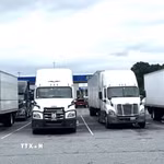 Các xe tải hạng nặng tại một bãi đỗ xe ven đường cao tốc I-95 North ở bang Delaware. (Ảnh: Đoàn Hùng/TTXVN)