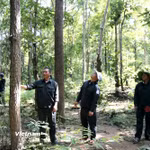 Anh Nguyễn Ngọc Vấn cùng các thành viên trong Đội bảo vệ rừng Hàm Cần 3 kiểm tra rừng ở Tiểu khu 278, Rừng phòng hộ Sông Móng-KaPet. (Nguồn: Vietnam+)