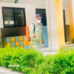 Trường Tiểu học-Trung học cơ sở Nghĩa Đô, phường Nghĩa Đô, Hà Nội phun thuốc khử khuẩn trước năm học mới 2026-2027. (Ảnh: TTXVN phát)