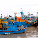 (Ảnh minh họa: Nguyễn Thanh/TTXVN)