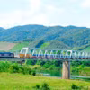 Tuyến đường sắt Lào Cai-Hà Nội-Hải Phòng được xây mới với mục tiêu kết nối với cảng biển quốc tế Hải Phòng, kết nối liên vận với Trung Quốc. (Ảnh: PV/Vietnam+)