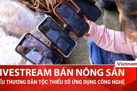 Nông sản vùng cao thành “mỏ vàng” thu nhập nhờ ứng dụng công nghệ số 