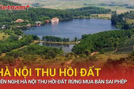 Hà Nội xử vụ sai phạm đất rừng phòng hộ, đề nghị thu hồi diện tích vi phạm 