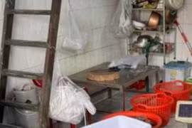 Kinh hãi hàng tấn lô thịt bò giả, bò bệnh tại Thành phố Hồ Chí Minh 