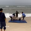 Thi thể nạn nhân được phát hiện trôi dạt tại bờ biển thôn Tân Định, xã Ninh Châu. (Ảnh: TTXVN phát)