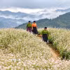 Phụ nữ vùng cao giữa cánh đồng tam giác mạch. (a. Ảnh: Minh Tâm/TTXVN)
