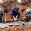 Hài cốt liệt sỹ được tìm thấy tại ấp Cả Cái, xã biên giới Tân Thành (Đồng Tháp). (Ảnh: TTXVN phát)