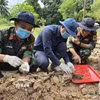 Đội K92, Bộ Chỉ huy quân sự tỉnh An Giang tìm kiếm, cất bốc hài cốt liệt sỹ tại xã Kiên Lương. (Ảnh: TTXVN phát)