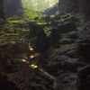 . (Nguồn: baovanhoa.vn)
