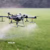 Nông dân An Giang sử dụng drone phân xịt thuốc giúp tiết kiệm chi phí, công sức và thời gian. (Ảnh minh họa: Công Mạo-TTXVN)