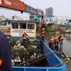 Công nhân Công ty Trách nhiệm hữu hạn Một thành viên Dịch vụ công ích Quận 8 vớt rác trên kênh Đôi, đoạn qua phường Phú Định. (Ảnh: Hồng Đạt/TTXVN)