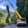 Xe container được đưa lên khỏi vực sâu trong tình trạng biến dạng sau vụ tai nạn xảy ra khu vực đèo Bảo Lộc (tỉnh Lâm Đồng). (Ảnh: TTXVN phát)