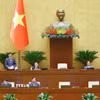 Phó Chủ tịch Quốc hội Vũ Hồng Thanh phát biểu. (Ảnh: Doãn Tấn/TTXVN)