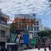 Đường phố Hà Nội. (Nguồn: Vietnam+)