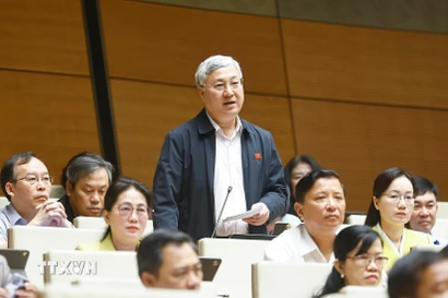 Đại biểu Quốc hội tỉnh Bắc Ninh Trần Văn Lâm phát biểu. (Ảnh: Doãn Tấn/TTXVN)