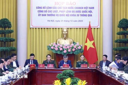 Quang cảnh cuộc họp. (Ảnh: An Đăng/TTXVN)