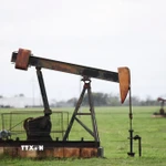 Tháp khoan dầu tại Luling, Texas, Mỹ. (Ảnh: THX/TTXVN)