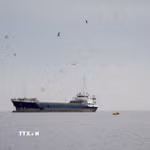Tàu thủy di chuyển ở eo biển Hormuz, ngoài khơi tỉnh Musandam của Oman, ngày 12/4/2026. (Ảnh: Reuters/TTXVN)